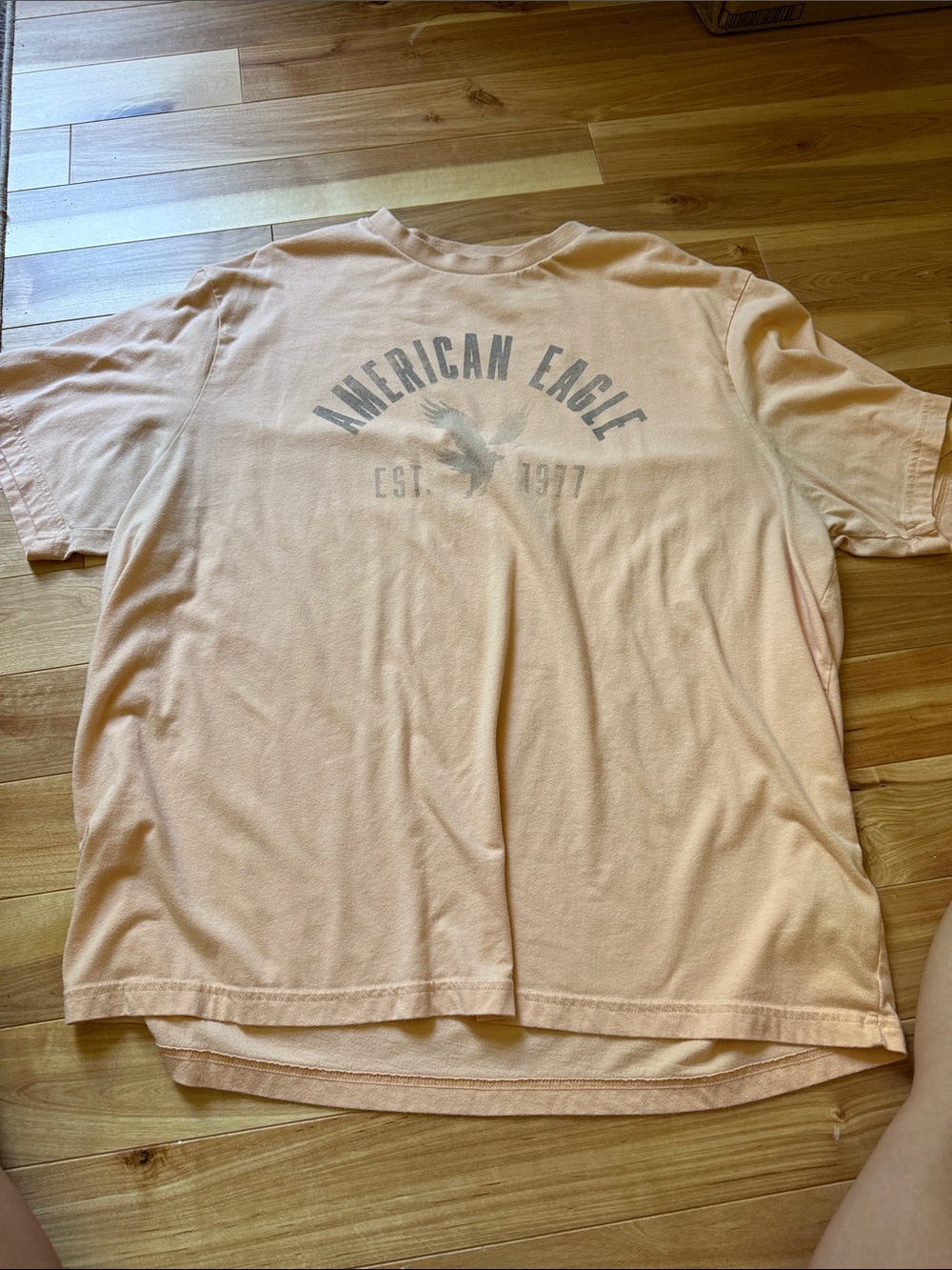 American Eagle Outfitters Peach Graphic Short-Sleeve Tee